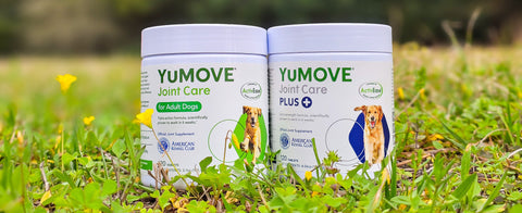 Daily Double - Why it Matters