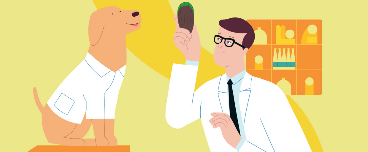 The Science Behind Glucosamine: How it Helps Your Dog's Joint Health