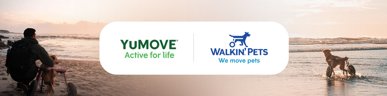 Lintbells, Home of YuMOVE Joint Supplements, Acquires Leading US Pet Mobility Brand, Walkin’ Pets