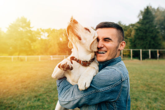 Man holding a dog on a sunny day