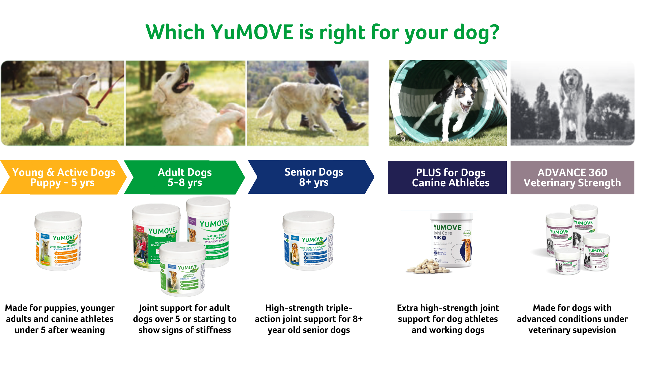 Yumove outlet extra strength