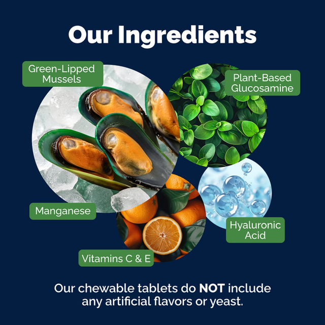 YuMOVE Joint Supplement for Adult Dogs I Tablets6