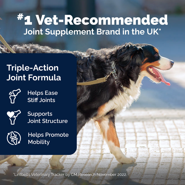 YuMOVE Joint Supplement for Adult Dogs I Soft Chews3