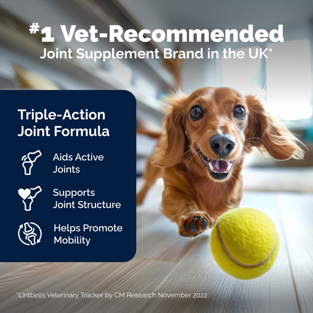 YuMOVE Joint Supplement for Younger Dogs I Tablets9