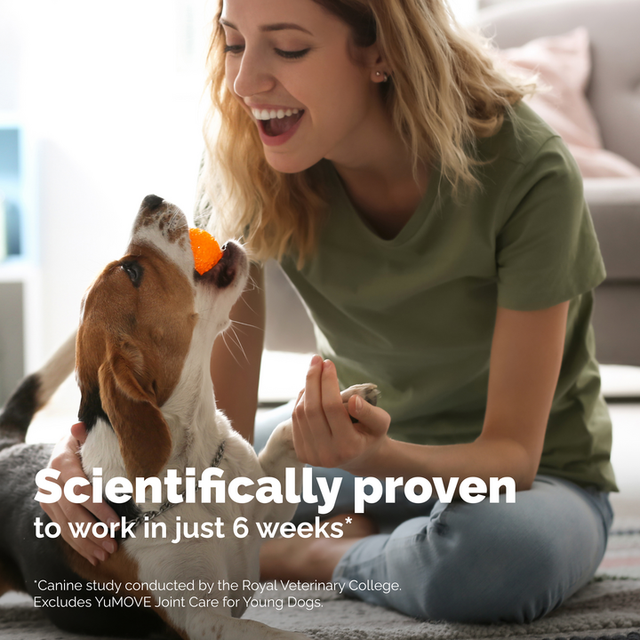 YuMOVE Joint Supplement for Younger Dogs I Tablets8