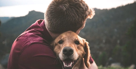 Man hugging lab