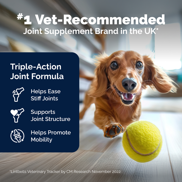 YuMOVE Hip & Joint Health for Adult Dogs I Tablets4