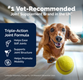 YuMOVE Advanced Vet Strength Hip & Joint Health I Tablets bullet 4