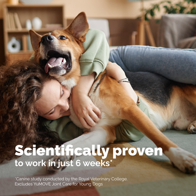 YuMOVE Hip & Joint Health for Large & Extra-Large Dogs | Chews7