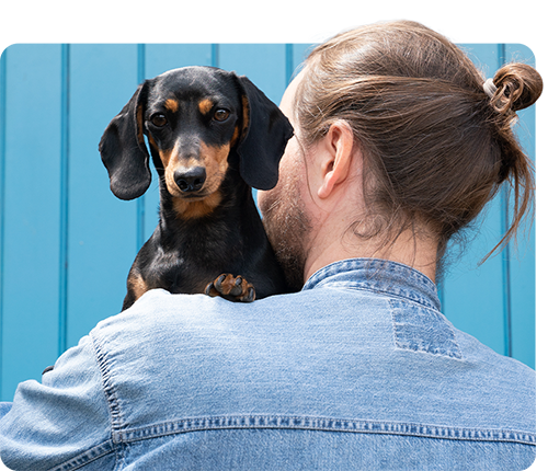 YuMOVE Dachshund