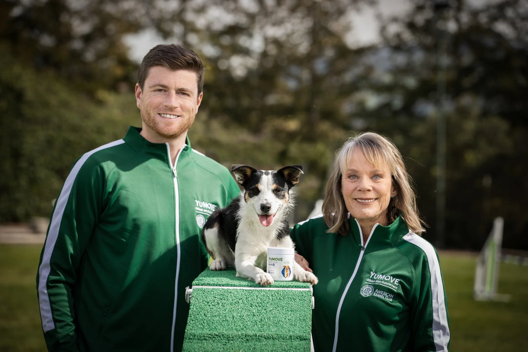 Nancy Gyes and Anthony Clarke dog experts