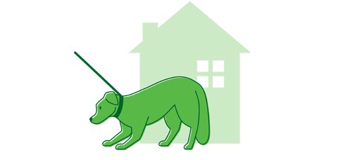 yumove dog icon